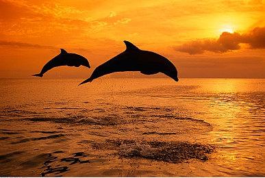 赛博朋克等距射击游戏《SlavicPunk: Oldtimer》公布 登陆Steam